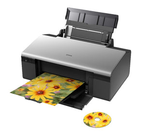 Epson Stylus Photo R285 printer